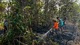 Tim gabungan melakukan pemadaman kebakaran sampah kering di tempat pembuangan sampah Desa Marah Haloq, Kecamatan Telen, Kabupaten Kutai Timur, Api berhasil dipadamkan sekitar pukul 17.00 WITA setelah membakar area sekitar 0,5 hektare.