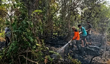 Tim gabungan melakukan pemadaman kebakaran sampah kering di tempat pembuangan sampah Desa Marah Haloq, Kecamatan Telen, Kabupaten Kutai Timur, Api berhasil dipadamkan sekitar pukul 17.00 WITA setelah membakar area sekitar 0,5 hektare.