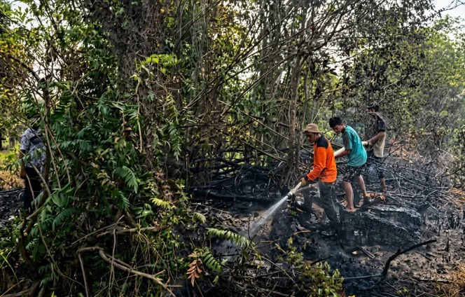 
					Tim gabungan melakukan pemadaman kebakaran sampah kering di tempat pembuangan sampah Desa Marah Haloq, Kecamatan Telen, Kabupaten Kutai Timur, Api berhasil dipadamkan sekitar pukul 17.00 WITA setelah membakar area sekitar 0,5 hektare.